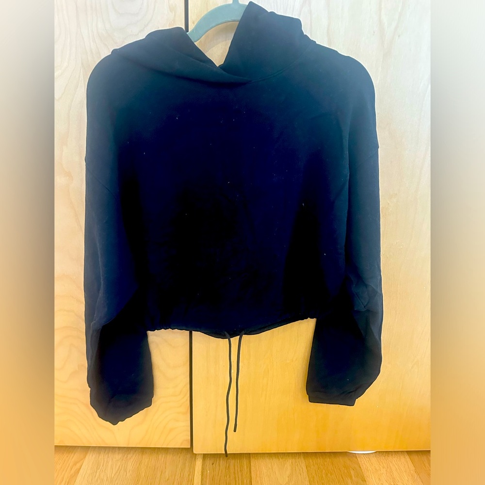 Aritzia Hoodie